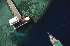 Wakatobi Dive Resort